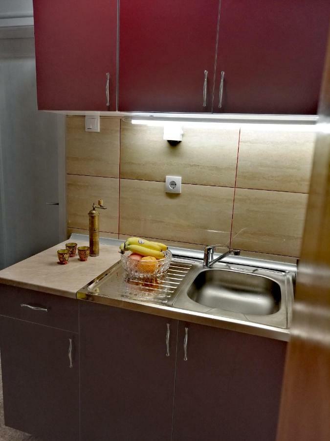 Duplex Mihajlovic-Vrnjacka Banja Daire Dış mekan fotoğraf